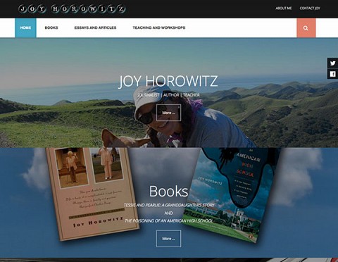 Joy Horowitz website